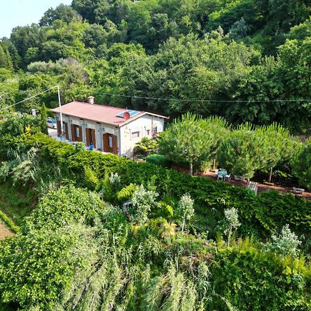 Vila Agriturismo Le Fontane - Lago Di Bolsena Grotte di Castro Exteriér fotografie