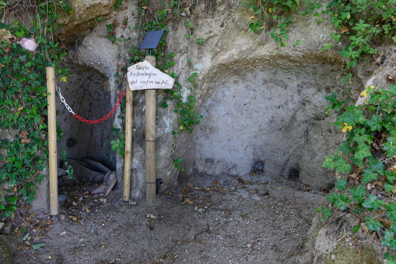 Vila Agriturismo Le Fontane - Lago Di Bolsena Grotte di Castro Exteriér fotografie