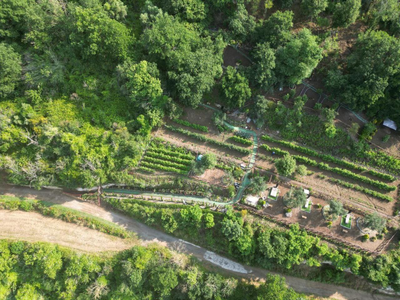 Vila Agriturismo Le Fontane - Lago Di Bolsena Grotte di Castro Exteriér fotografie